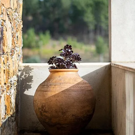 Σπίτι διακοπών Quinta Da Palhota Vila de Rei